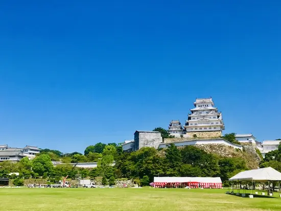 兵庫県のハクビシン駆除・退治　姫路城2