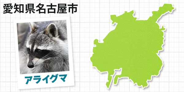 愛知県名古屋市のアライグマ駆除　お客様の声①