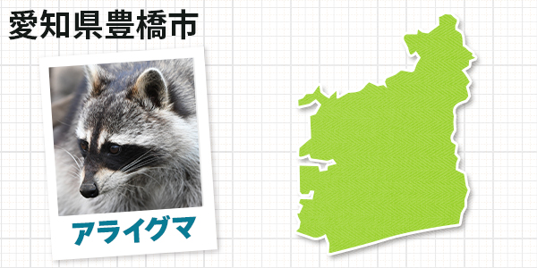 愛知県豊橋市のアライグマ駆除駆除　お客様の声②