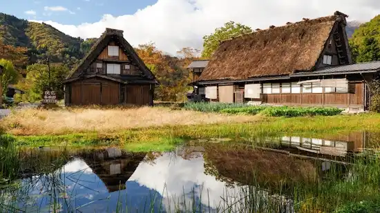 岐阜県の害獣駆除・退治　　岐阜白川郷1