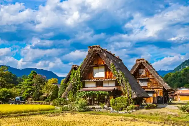 岐阜県のイタチ駆除・退治　岐阜県白川郷03