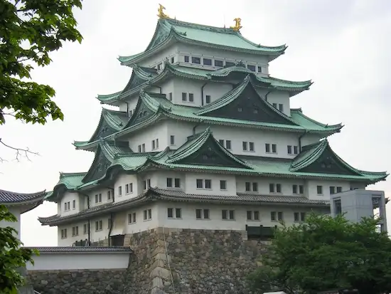 愛知県の害獣駆除・退治　名古屋城1