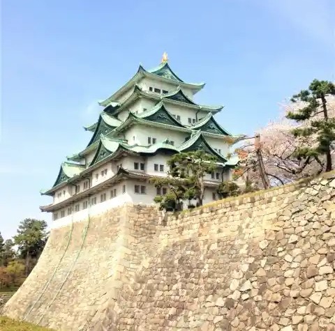 愛知県のネズミ駆除・退治　愛知県名古屋城01