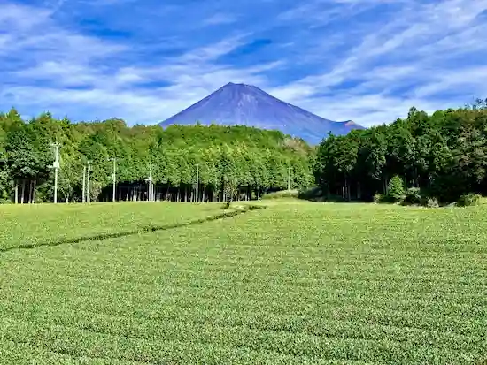 静岡県のネズミ駆除・退治　静岡富士山01