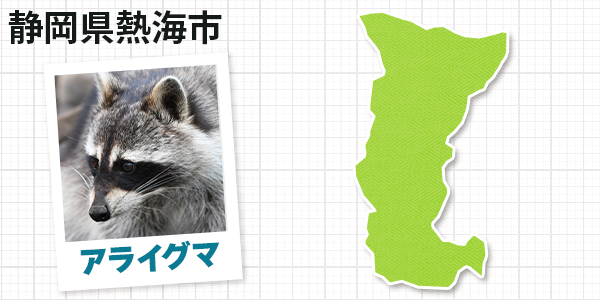 静岡県熱海市のアライグマ駆除　お客様の声②