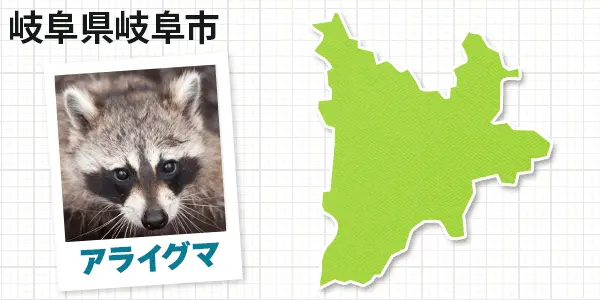 岐阜県岐阜市のアライグマ駆除　お客様の声①