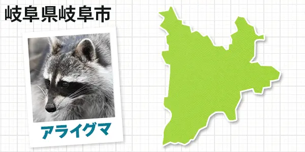 岐阜県岐阜市のアライグマ駆除　お客様の声②