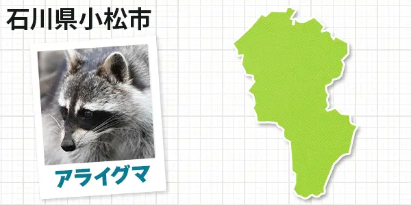 石川県小松市のアライグマ駆除　お客様の声②