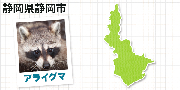 静岡県静岡市清水区のアライグマ駆除　お客様の声①