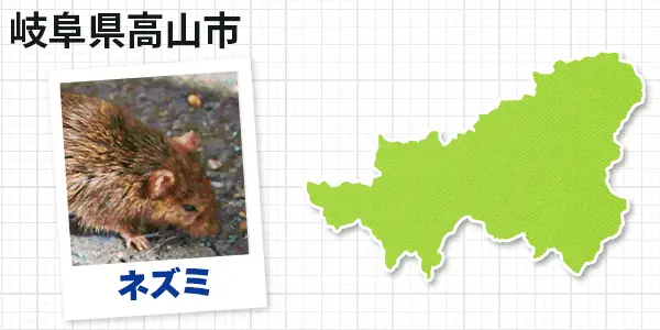 岐阜県高山市のネズミ駆除　お客様の声②