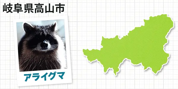 岐阜県高山市のアライグマ駆除　お客様の声①