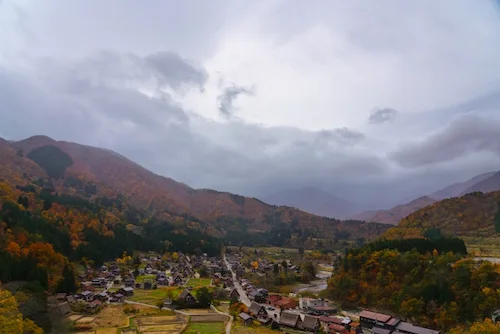 岐阜県のコウモリ駆除・退治　白川郷07