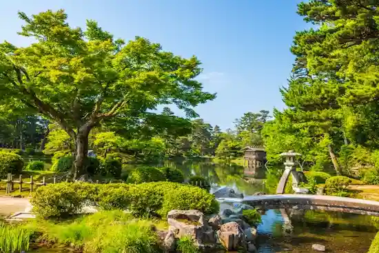 石川県のハクビシン駆除・退治　兼六園02