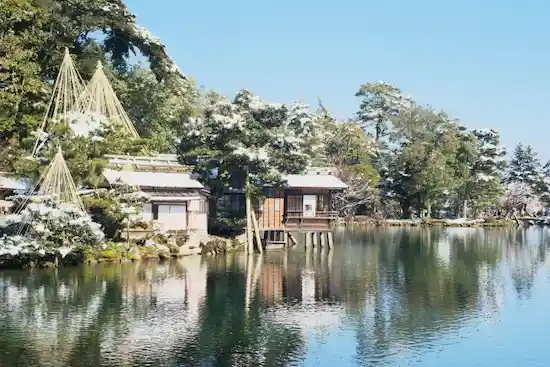 石川県のネズミ駆除・退治　兼六園004