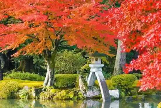 石川県のイタチ駆除・退治　兼六園05