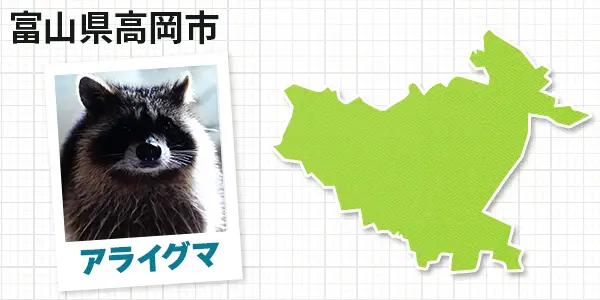 富山県高岡市のアライグマ駆除　お客様の声①