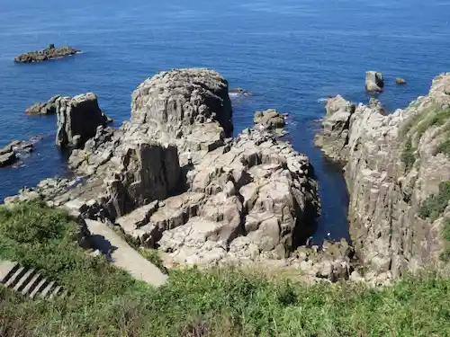 福井県の害獣駆除・退治　東尋坊1