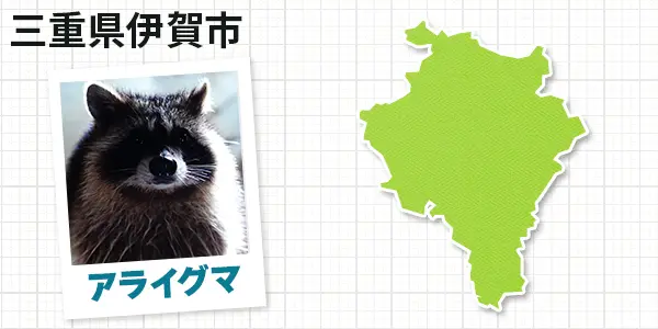 三重県伊賀市のアライグマ駆除　お客様の声①