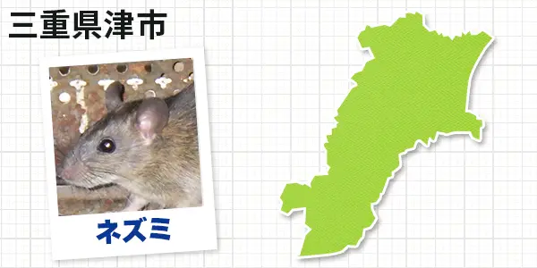 三重県津市のネズミ駆除　お客様の声①