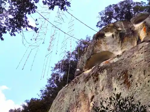 三重県のハクビシン駆除・退治　熊野古道02