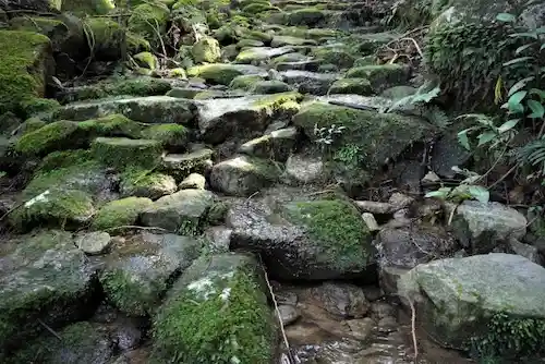 三重県のネズミ駆除・退治　熊野古道05