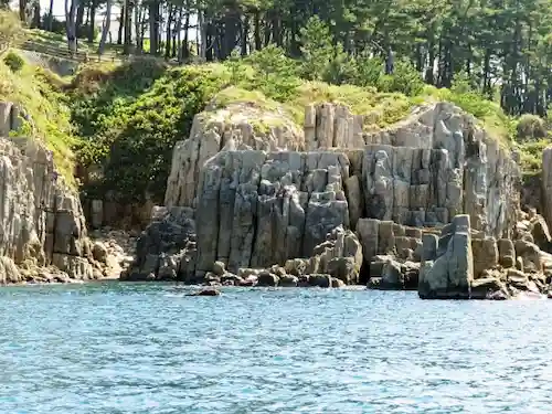 福井県のハクビシン駆除・退治 　東尋坊2