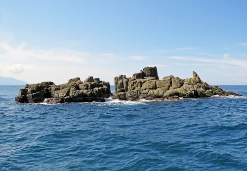 福井県のイタチ駆除・退治　東尋坊4