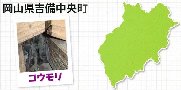 岡山県吉備中央町のコウモリ駆除 お客様の声②