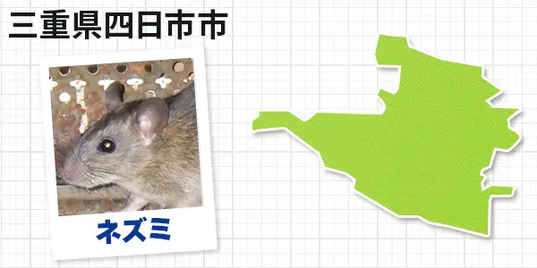 三重県四日市市のネズミ駆除　お客様の声①