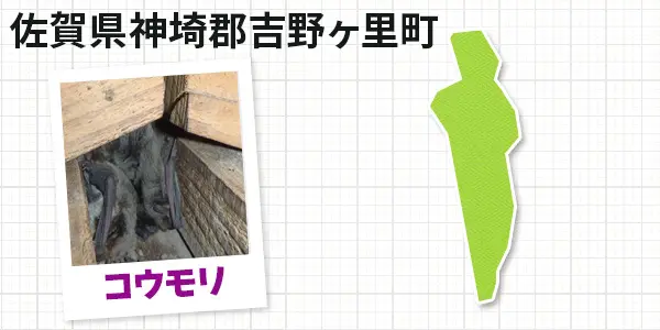 佐賀県神埼郡吉野ヶ里町のコウモリ駆除　お客様の声①