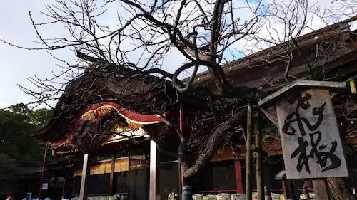 福岡県の害獣駆除・退治　太宰府天満宮1