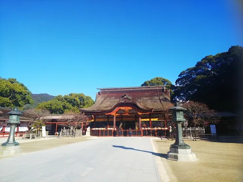 福岡県のハクビシン駆除・退治　太宰府天満宮2