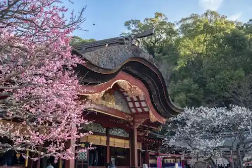 福岡県のコウモリ駆除・退治　太宰府天満宮06