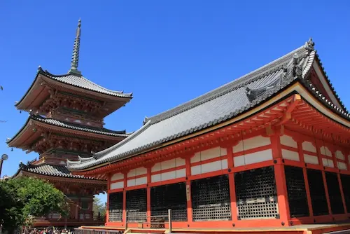 京都府の害獣駆除・退治　清水寺01