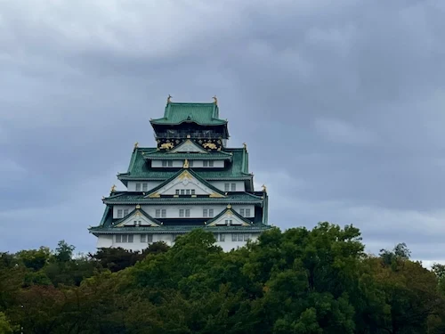 大阪府の害獣駆除・退治　大阪城1