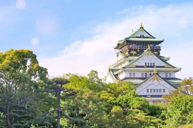 大阪府のイタチ駆除・退治　大阪城03