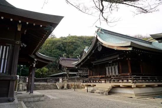 岡山県のハクビシン駆除・退治吉備津神社2