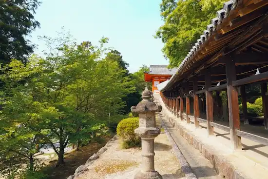 岡山県のネズミ駆除・退治吉備津神社5