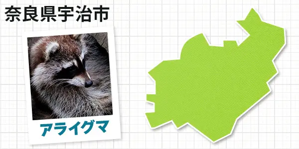 奈良県宇治市のアライグマ駆除　お客様の声①