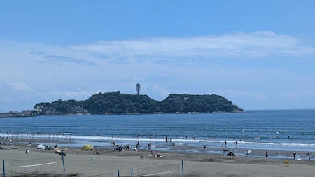 神奈川県の害獣駆除・退治　江の島01