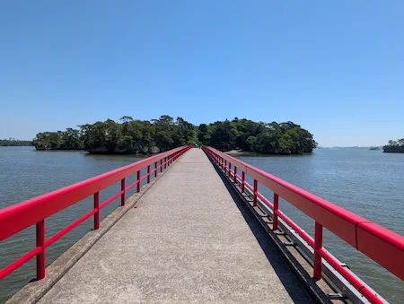 宮城県の害獣駆除・退治　松島2