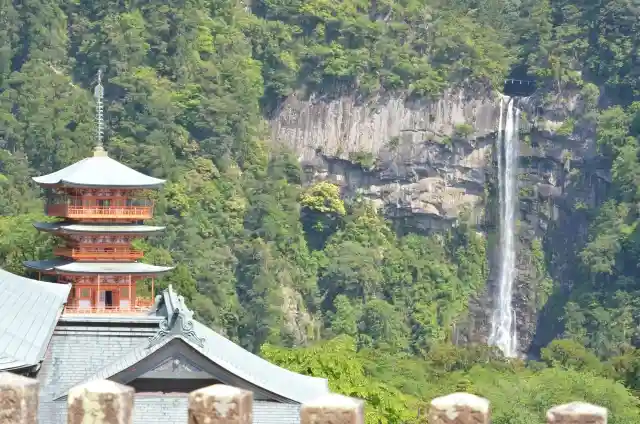 和歌山県のイタチ駆除・退治　那智の滝03