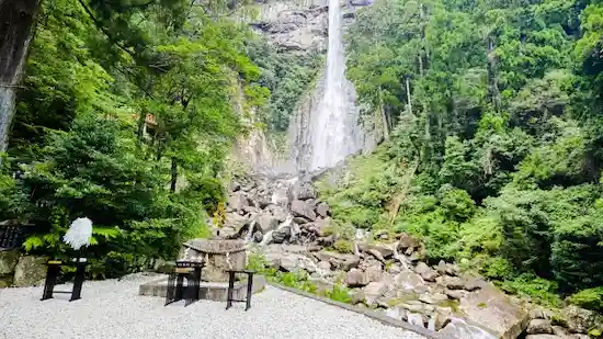 和歌山県のネズミ駆除・退治　那智の滝5