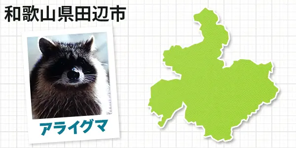 和歌山県田辺市のアライグマ駆除　お客様の声①