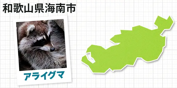 和歌山県海南市のアライグマ駆除　お客様の声②