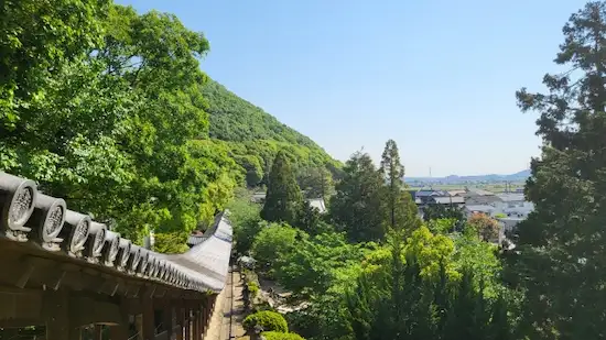 岡山県のアライグマ駆除・退治吉備津神社3