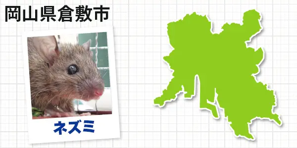 岡山県倉敷市のネズミ駆除 お客様の声①