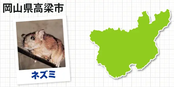 岡山県高梁市のネズミ駆除 お客様の声②