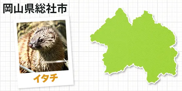 岡山県総社市のイタチ駆除 お客様の声②