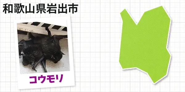 和歌山県岩出市のコウモリ駆除 お客様の声①